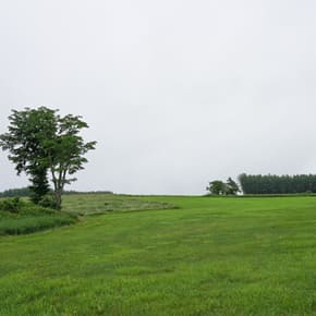 小山牧場の日常風景