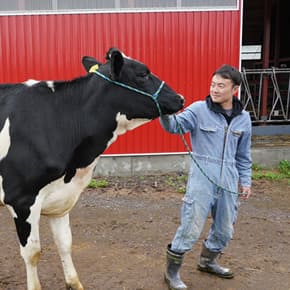小山牧場の日常風景