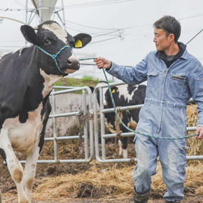 小山牧場の日常風景