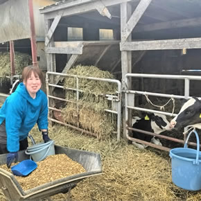 小山牧場の日常風景