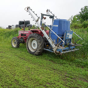 小山牧場の日常風景